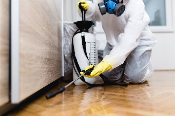 Best Affordable Pest Control Services  in Peoria, IL