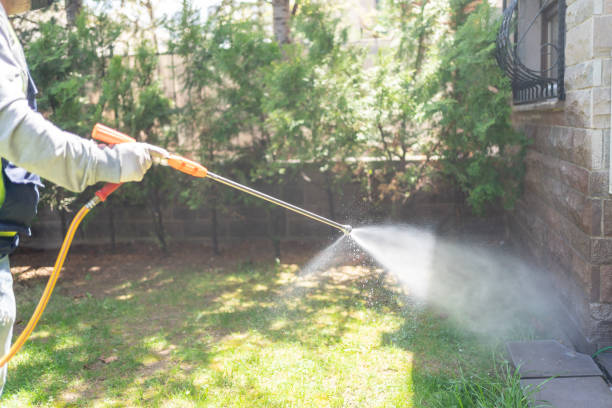 Best Best Pest Control Companies  in Peoria, IL