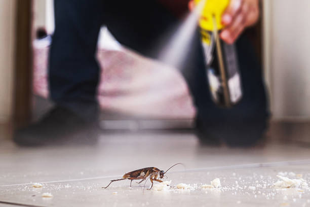 Pest Control for Restaurants in Peoria, IL