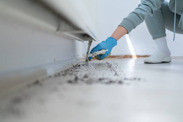 Best Pest Prevention Services  in Peoria, IL